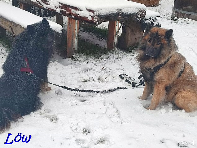 9.12.2024 - Endlich Winter Schnee